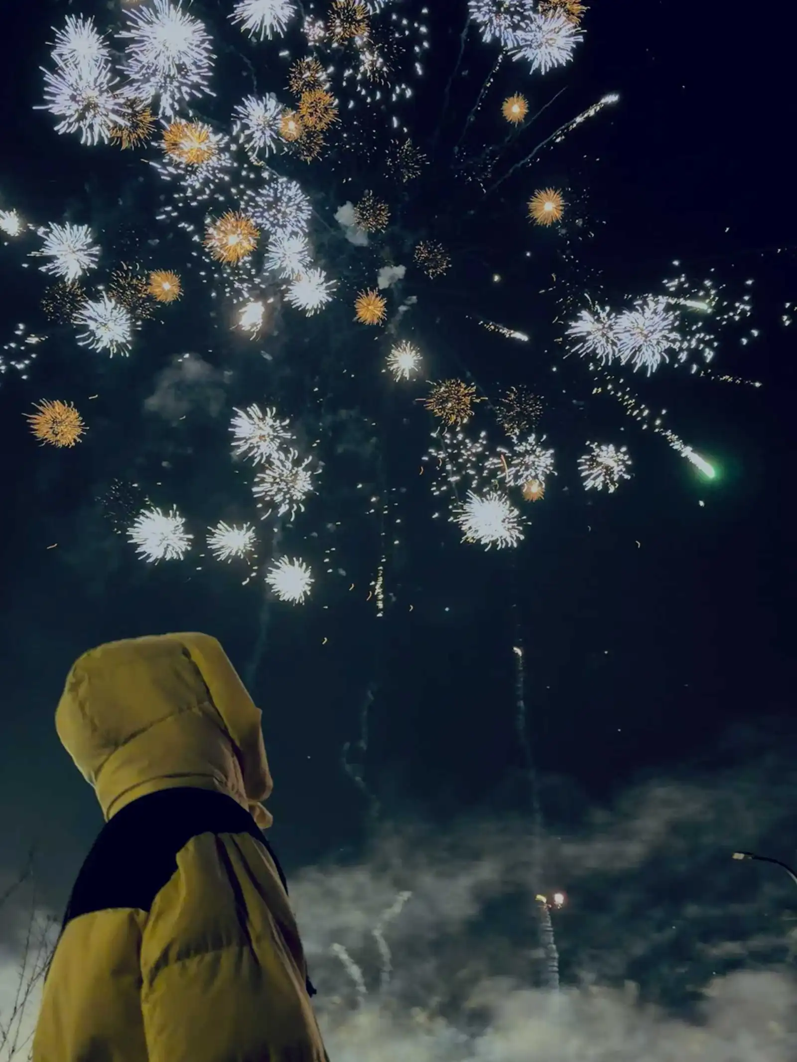 20260218-RF7BA9-2602171