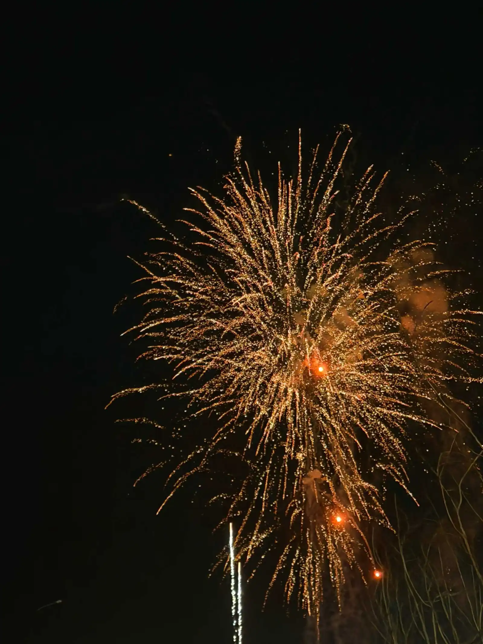 20260218-aFiRBk-2602172